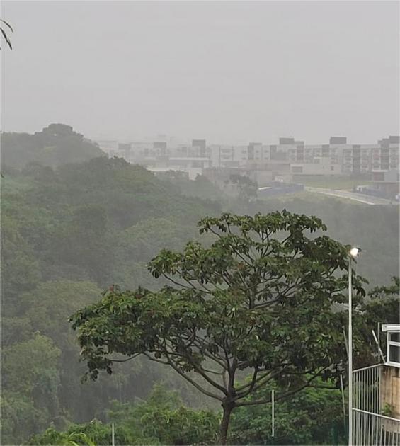 Alerta Amarelo do Inmet: Chuvas Fortes e Ventos de Até 60km/h Atingem a Paraíba