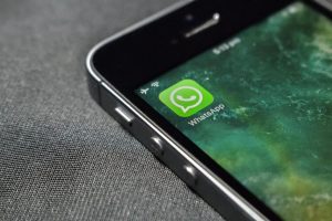 Fenômeno Inusitado: Grupos de WhatsApp de Imitadores de Animais Conquistam Brasileiros