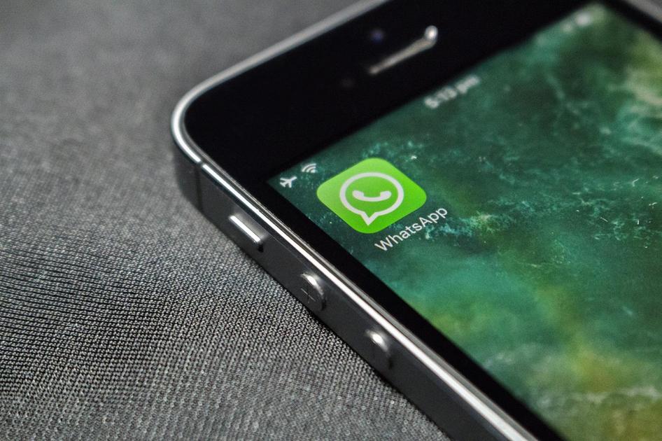 Fenômeno Inusitado: Grupos de WhatsApp de Imitadores de Animais Conquistam Brasileiros