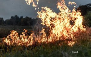 MPPB Recomenda Medidas Urgentes contra Queimadas na Usina São João, na Paraíba