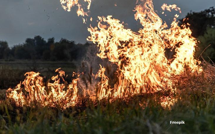 MPPB Recomenda Medidas Urgentes contra Queimadas na Usina São João, na Paraíba