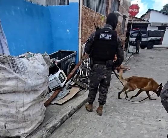 Operação Policial em João Pessoa: Cão Farejador Jiraya Ajuda a Apreender Mais de 150 Porções de Drogas