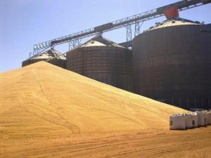 Trabalhador morre soterrado em silo de grãos durante manutenção em Cabedelo