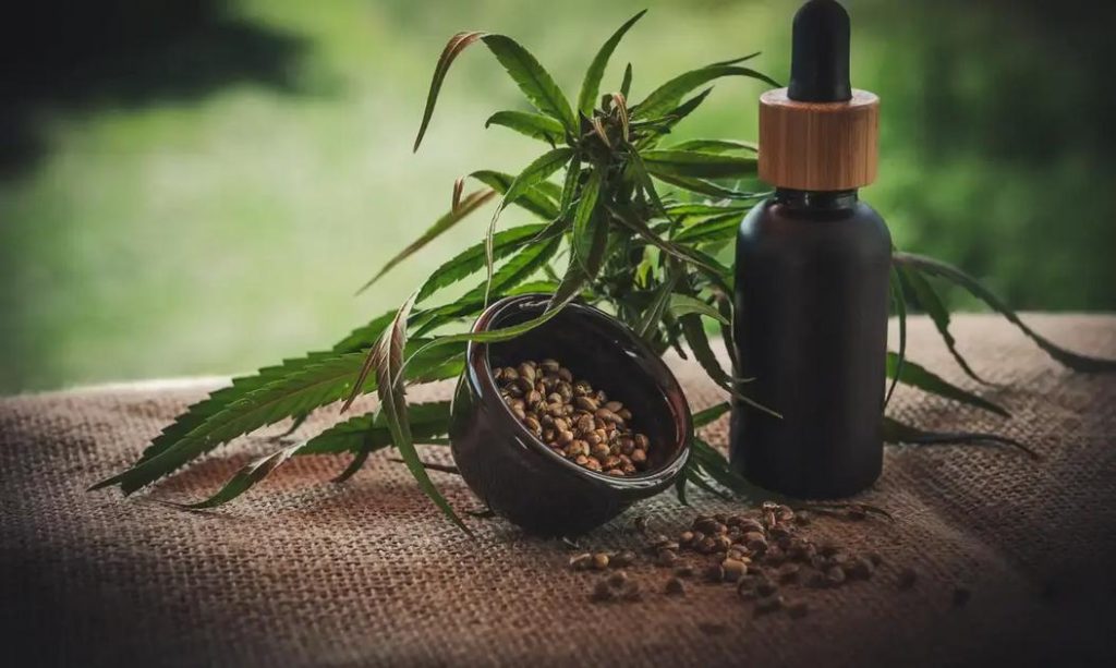 Anvisa proíbe venda de produtos à base de cannabis sem registro e suspende propagandas de medicamentos
