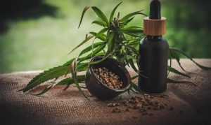 Anvisa proíbe venda de produtos à base de cannabis sem registro e suspende propagandas de medicamentos
