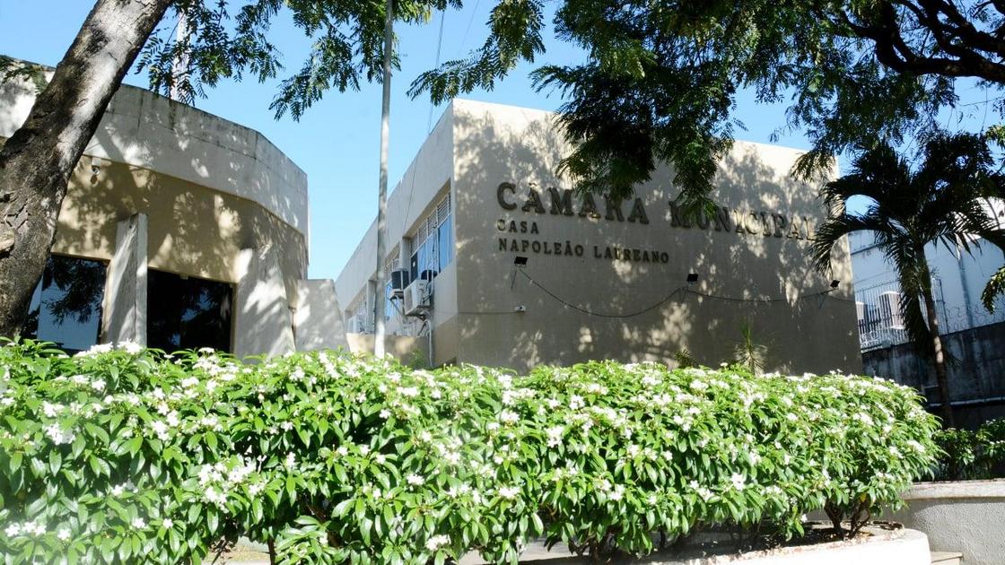 CMJP: Conheça algumas leis de proteção às mães da Capital