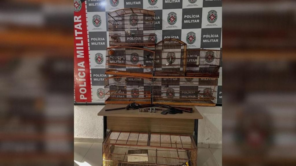 Homem é preso por posse ilegal de arma e cativeiro de aves silvestres em João Pessoa; caso serve de alerta para a região