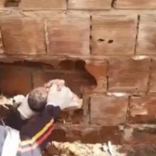 LUTO: Morre recém-nascido abandonado entre paredes em Caaporã