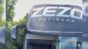Ônibus colide com cavalo na BR-230, em Pombal, e deixa equipe de cantor na estrada
