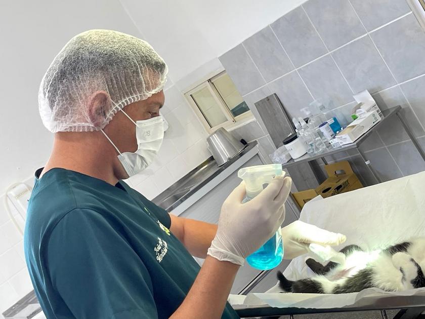 Paraíba Pet abre 485 vagas para castrações em sete cidades na próxima semana