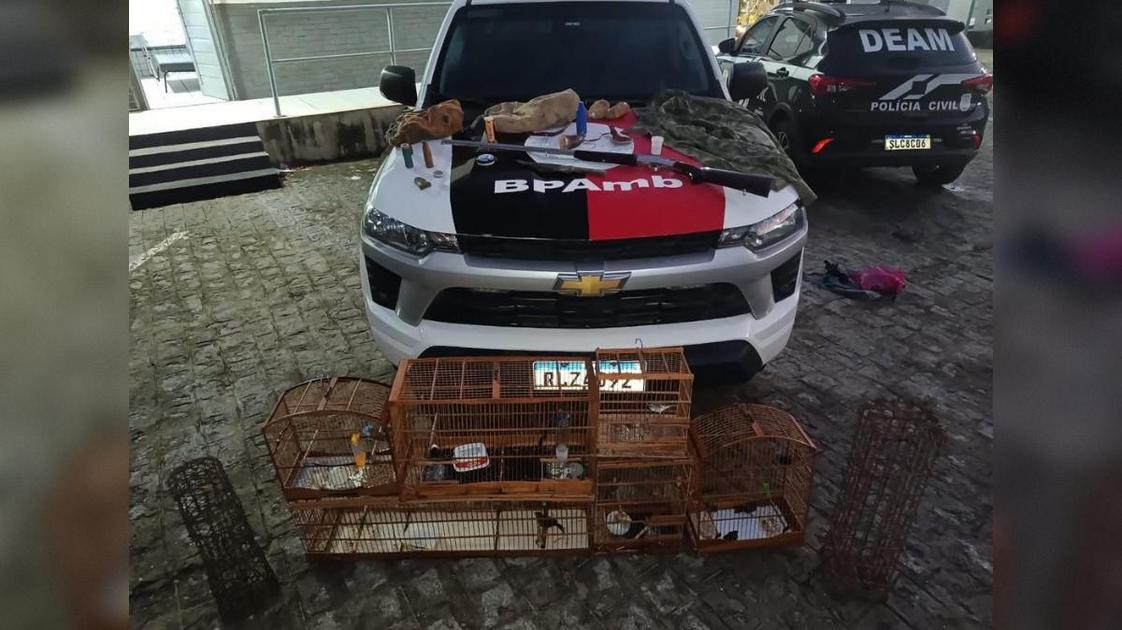 Polícia Militar resgata 16 aves silvestres e prende dois suspeitos em operação contra caça ilegal em Guarabira