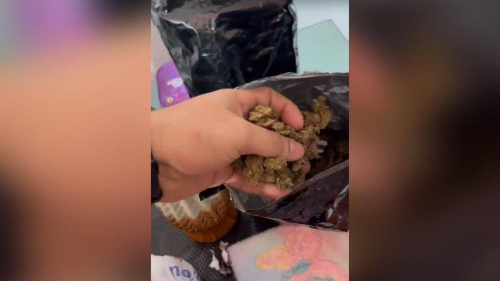 Polícia prende mulher em flagrante com quase um quilo de skunk em Campina Grande