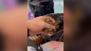 Polícia prende mulher em flagrante com quase um quilo de skunk em Campina Grande