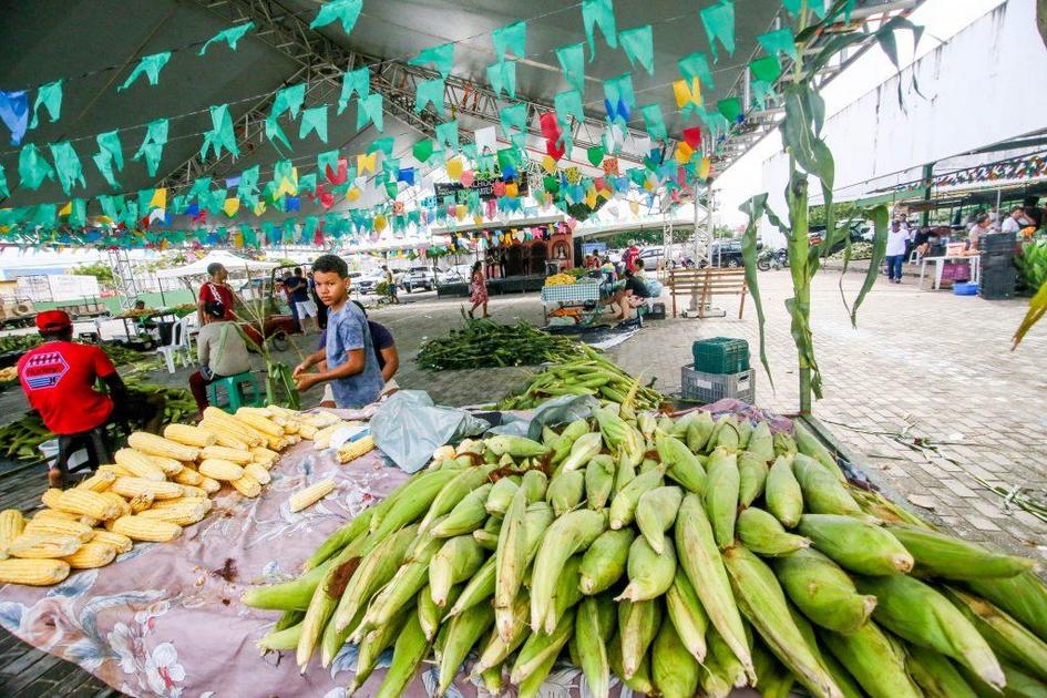 10º Festival do Milho em João Pessoa projeta vender 780 mil espigas e movimentar R$ 1 milhão