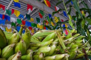 Festival do Milho da Cecaf chega à 10ª edição com estrutura ampliada e preço acessível