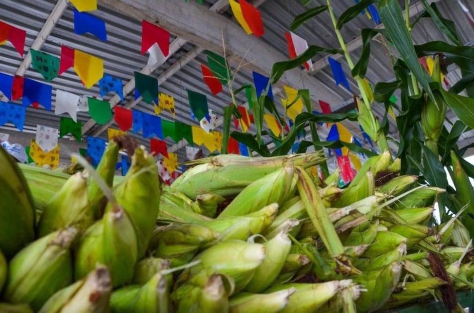 Festival do Milho da Cecaf chega à 10ª edição com estrutura ampliada e preço acessível